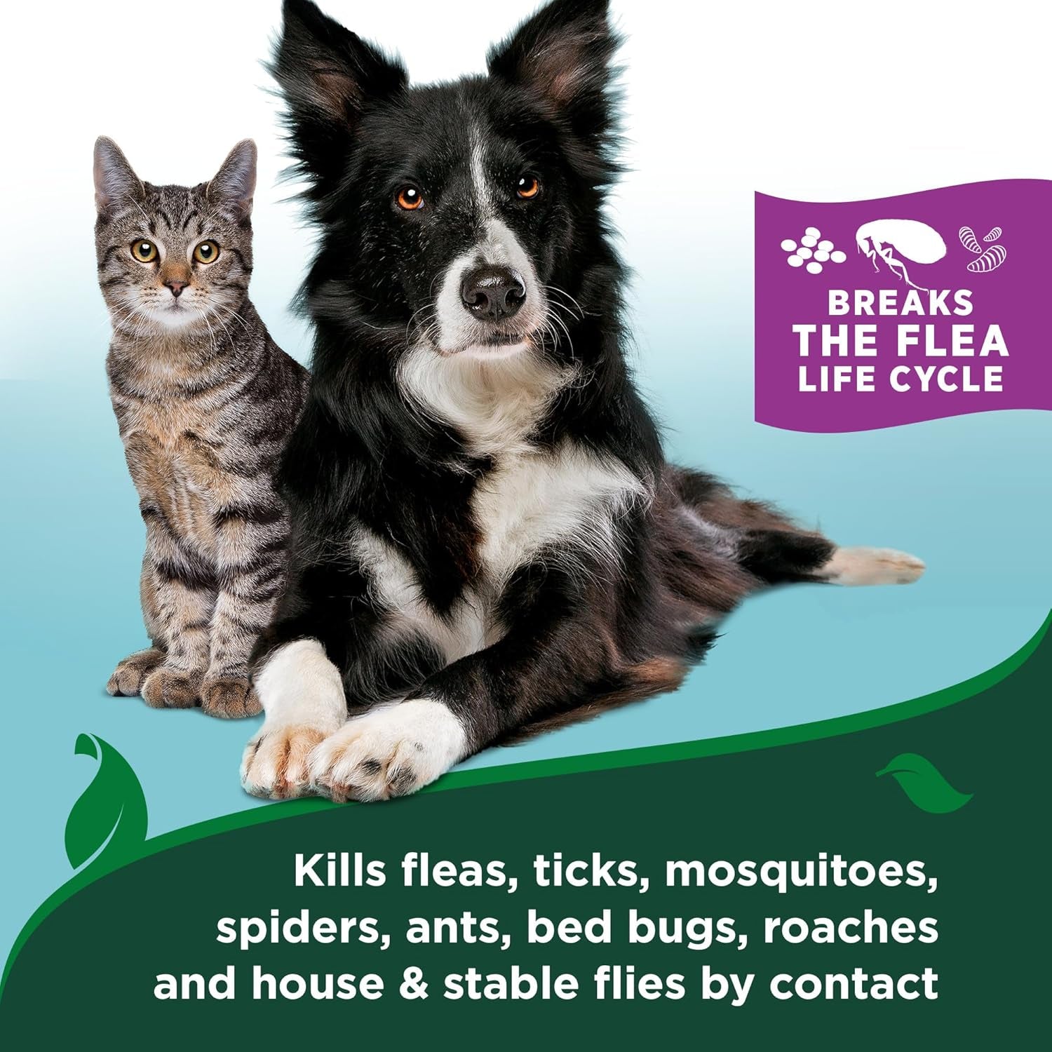 Flea & Tick Mist for Cats, Cotton Spice, Plant-Based, 6.3 Oz | Plant-Based Flea & Tick Mist, Cotton Spice Scent, Kills Fleas & Ticks on Contact, Gentle Indoor Formula for Cats