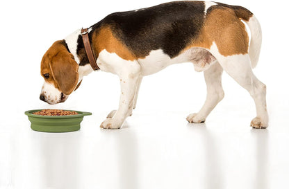 2-Pack Collapsible Dog Bowls with Integrated Molding for Travel, 600ml Capacity (Navy Blue & Dark Green)
