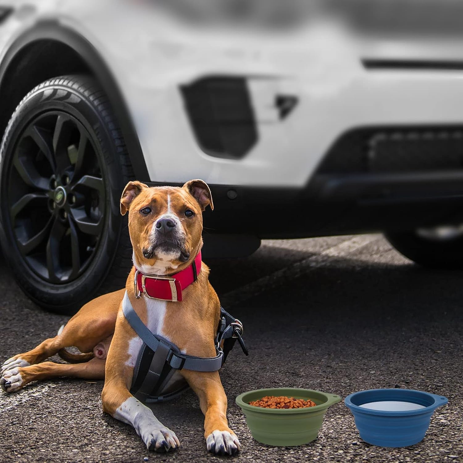 2-Pack Collapsible Dog Bowls with Integrated Molding for Travel, 600ml Capacity (Navy Blue & Dark Green)