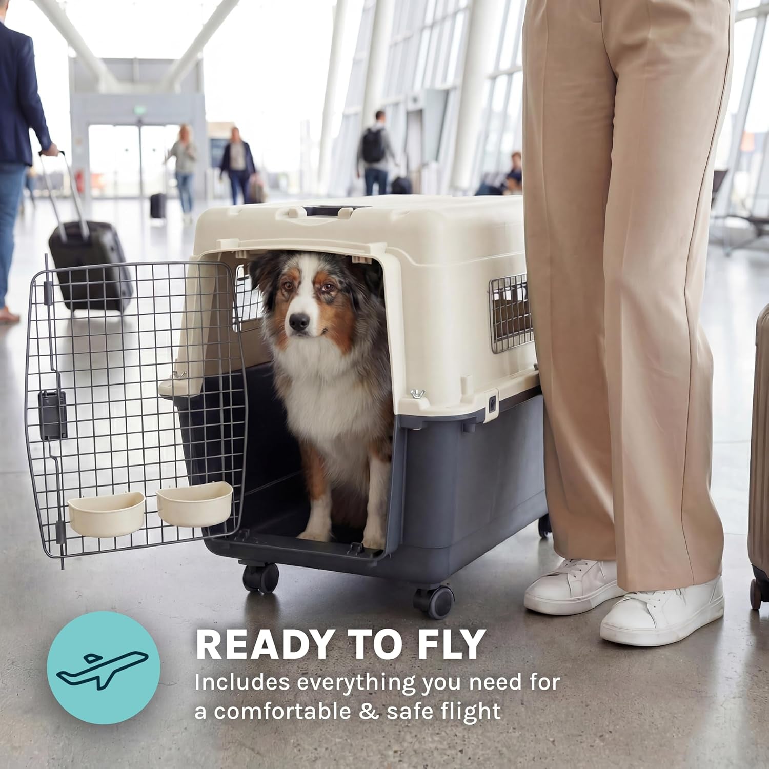 Sportpet Airline Compliant LARGE 31.5" Travel Dog Kennel-Durable Plastic Airline Pet Carrier W/ Removable Wheels & Food Bowls, Collapsible Indoor/Outdoor Dog Kennel, Dogs up to 28"L & 20"H-Cream/Gray