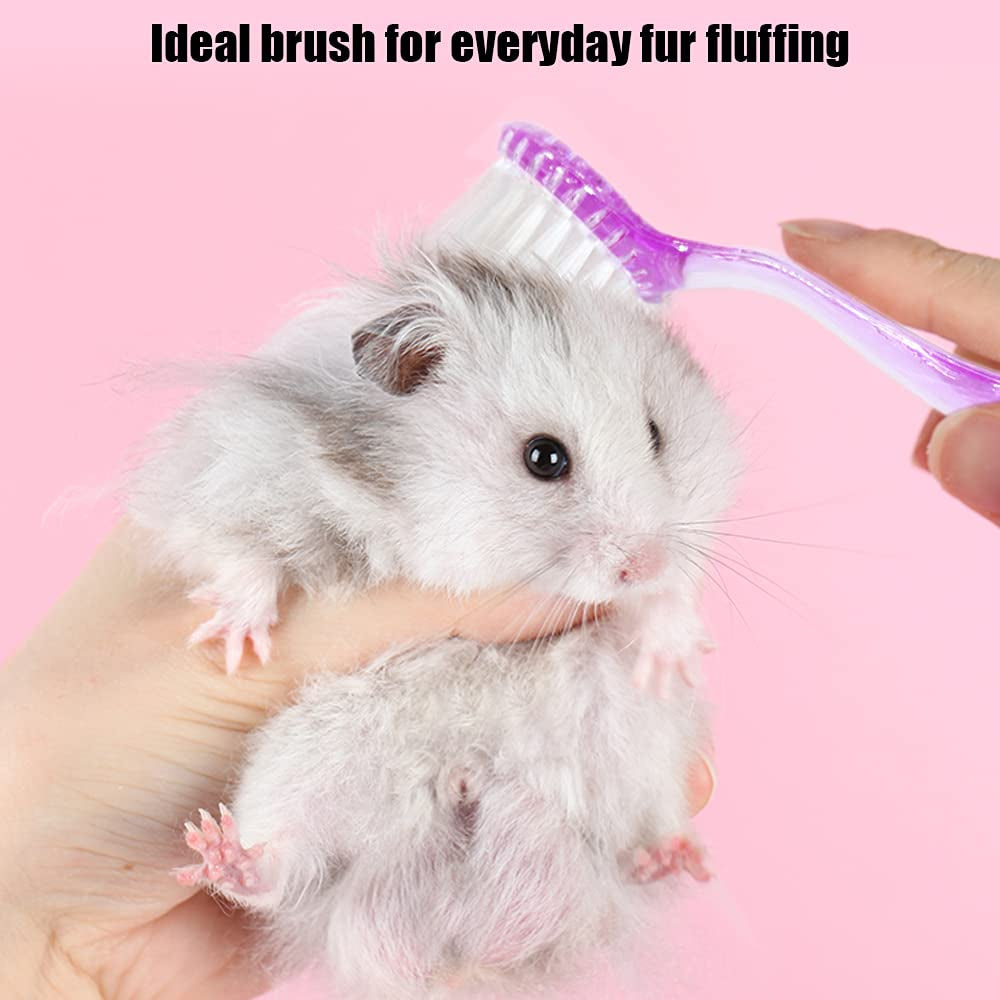 2 Pack Hamster Brush, Guinea Pig Massage Combs, Hedgehog Supplies